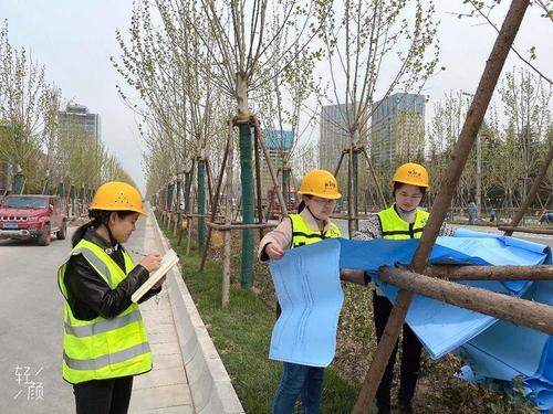 陕建古建园林集团港务区园林绿化项目施工侧记